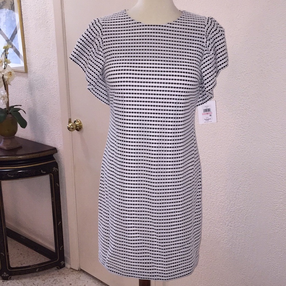 Adorable Calvin Klein white/Navy eyelet slip dress